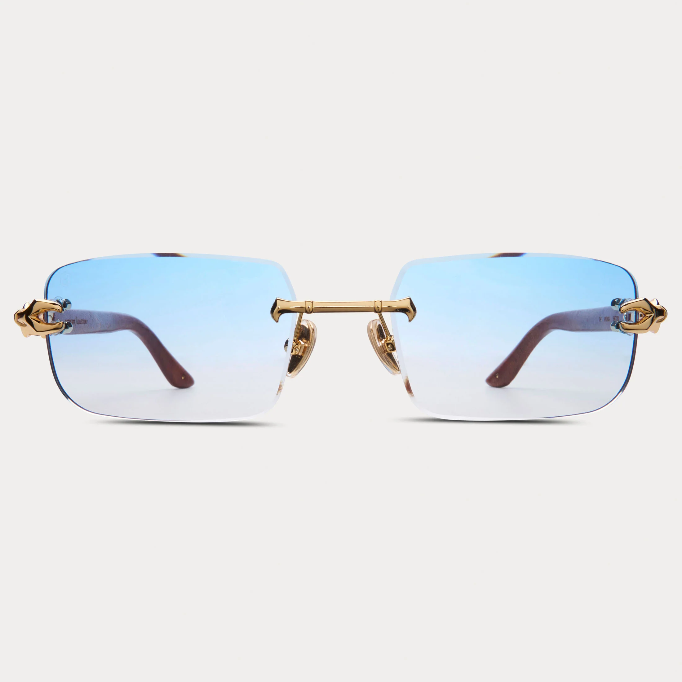 BLUE TINT HYDRA - Image 6